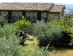 agriturismo-colle-degli-olivi-1420-02